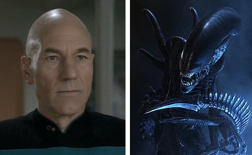 Picard-Alien Cranium